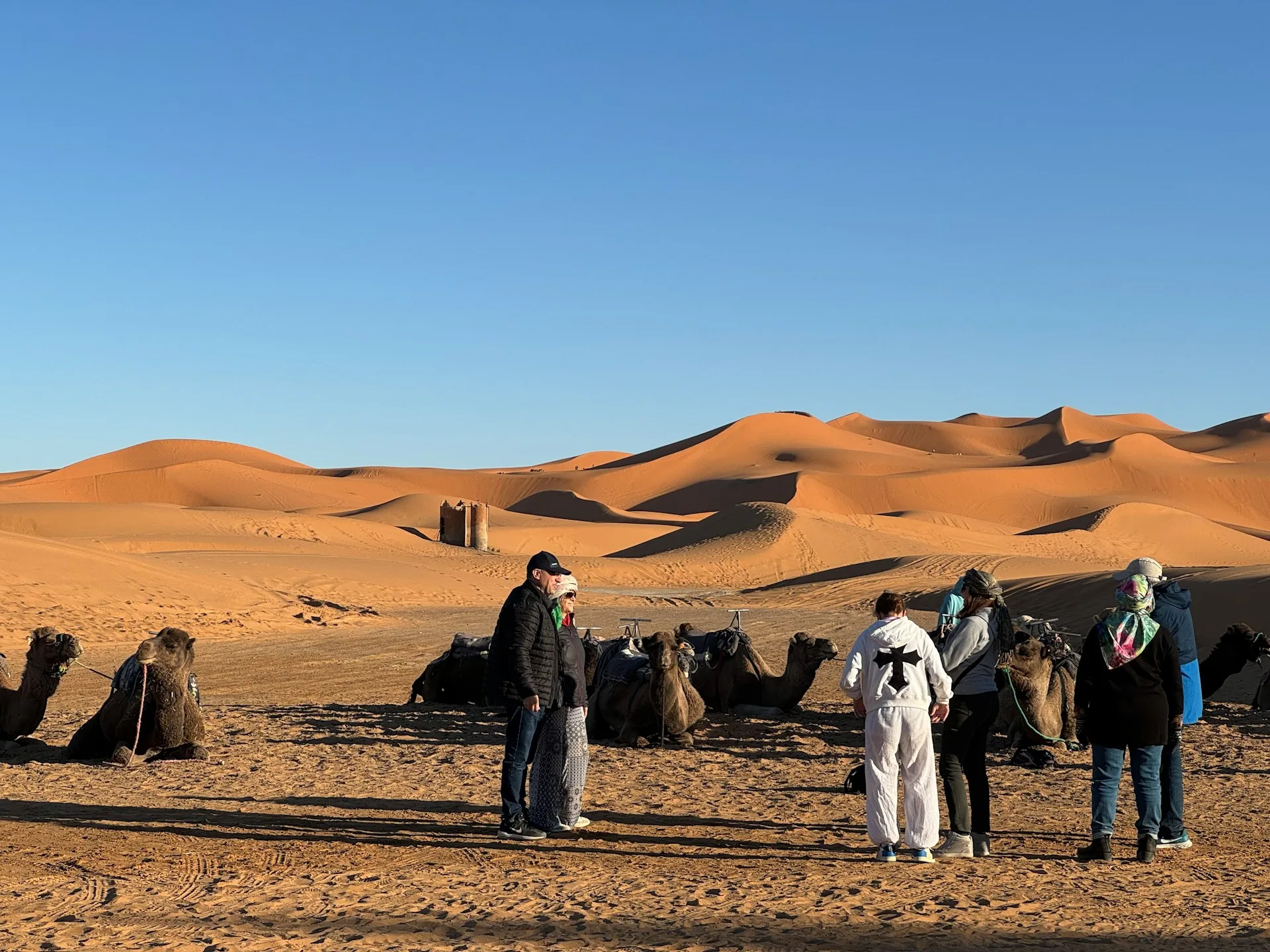 Travellers and camels at the foot of the Erg Chebbi dunes near Merzouga